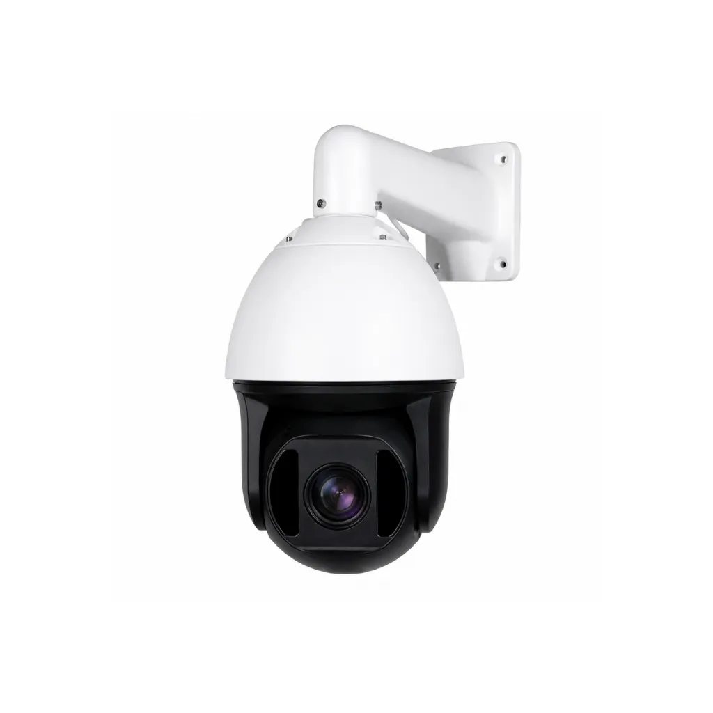 PTZ Cameras